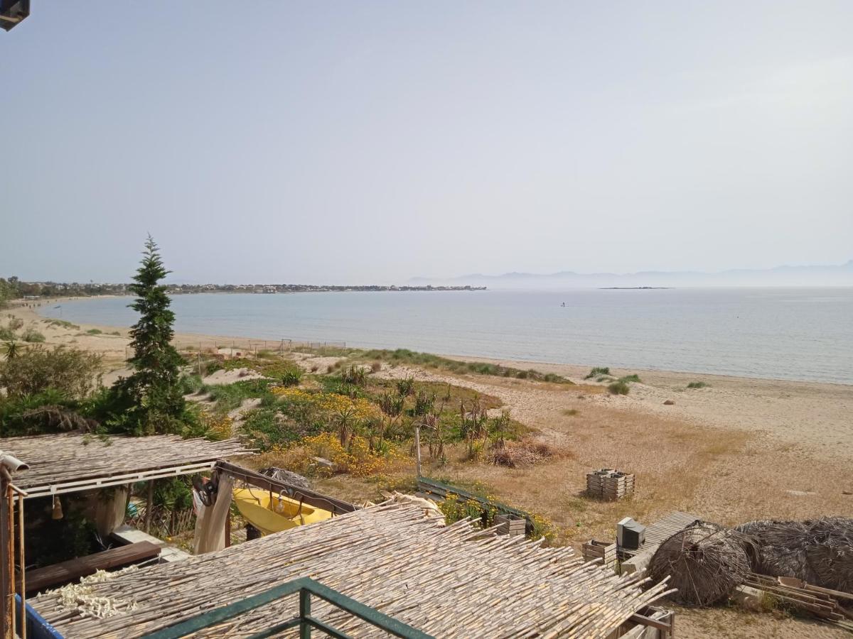 Apartment On The Beach 阿特米达 外观 照片